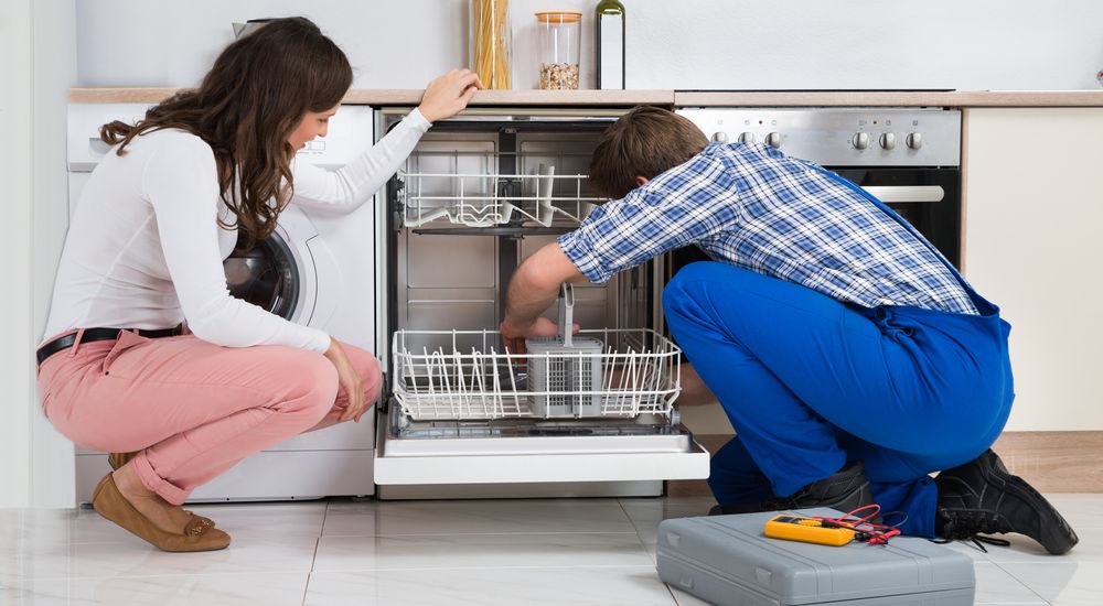 professional maintenance of dishwasher