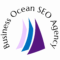 Business Ocean Seo Agency Avatar